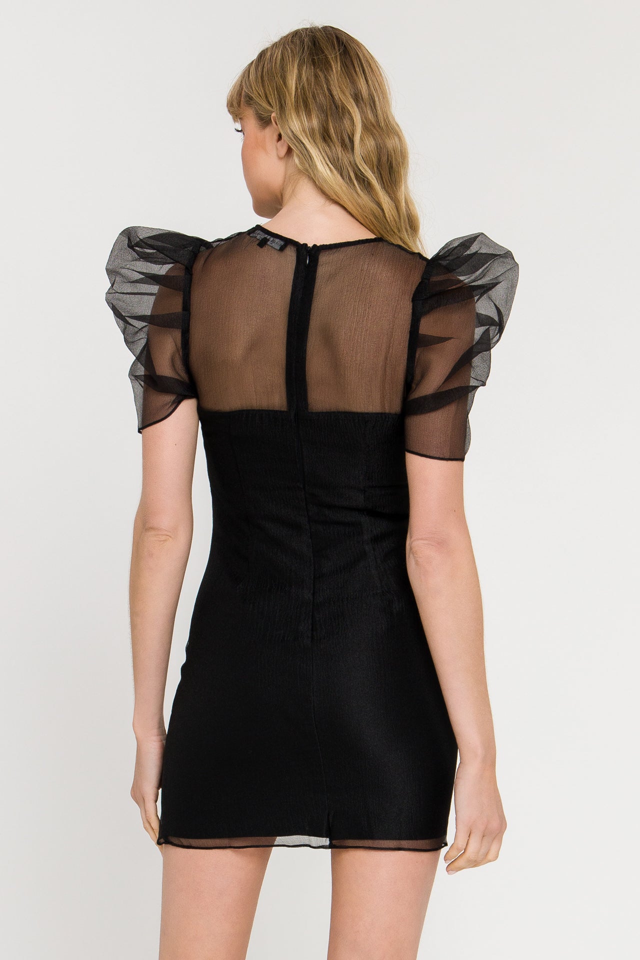 Puffed Sleeve Organza Dress