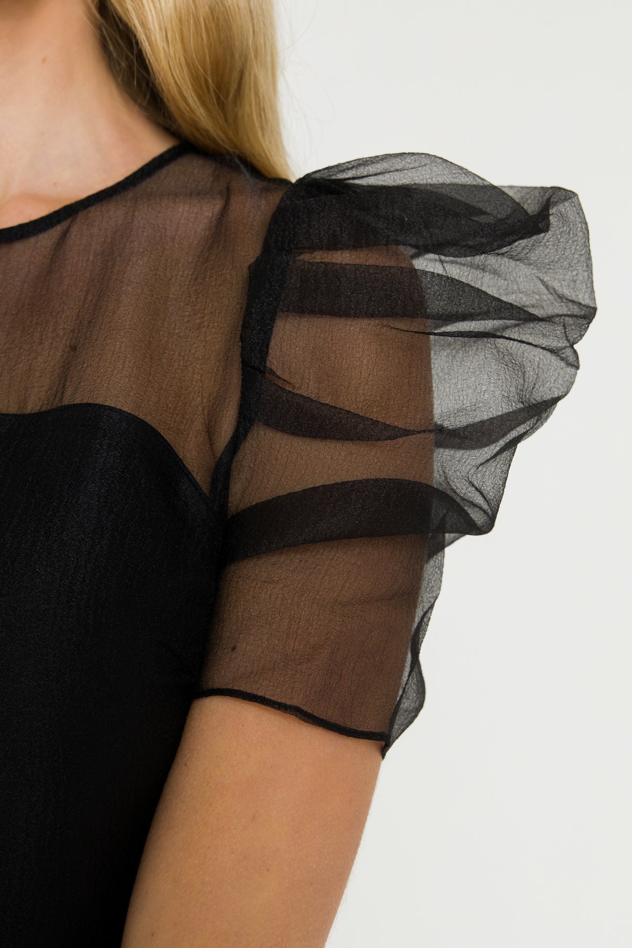 Puffed Sleeve Organza Dress